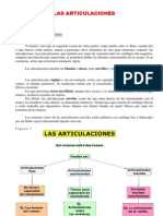 Articulaciones del esqueleto: Engranajes del movimiento corporal