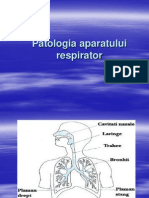 Patologia aparatului Respirator