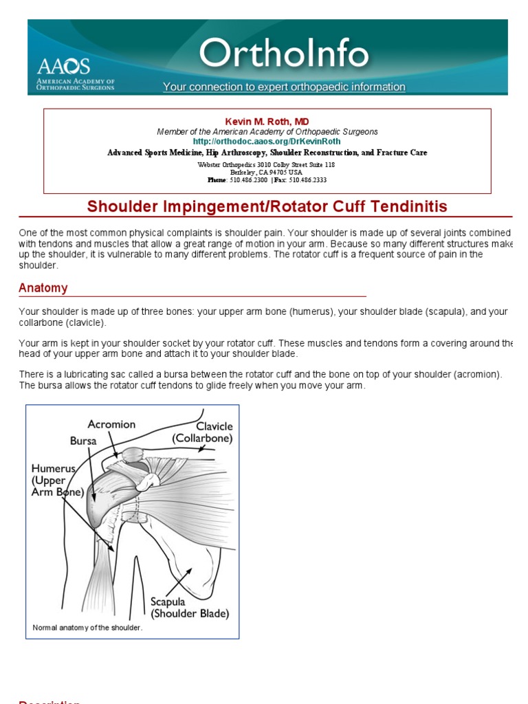 shoulder impingementrotator cuff tendinitisorthoinfo aaos Shoulder