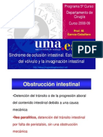 002_Oclusión intestinal