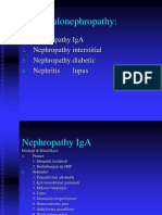 Glomerolu Nefritis