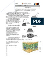 Ficha Fase Luminosa