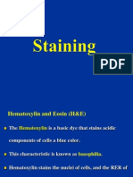 5 Staining