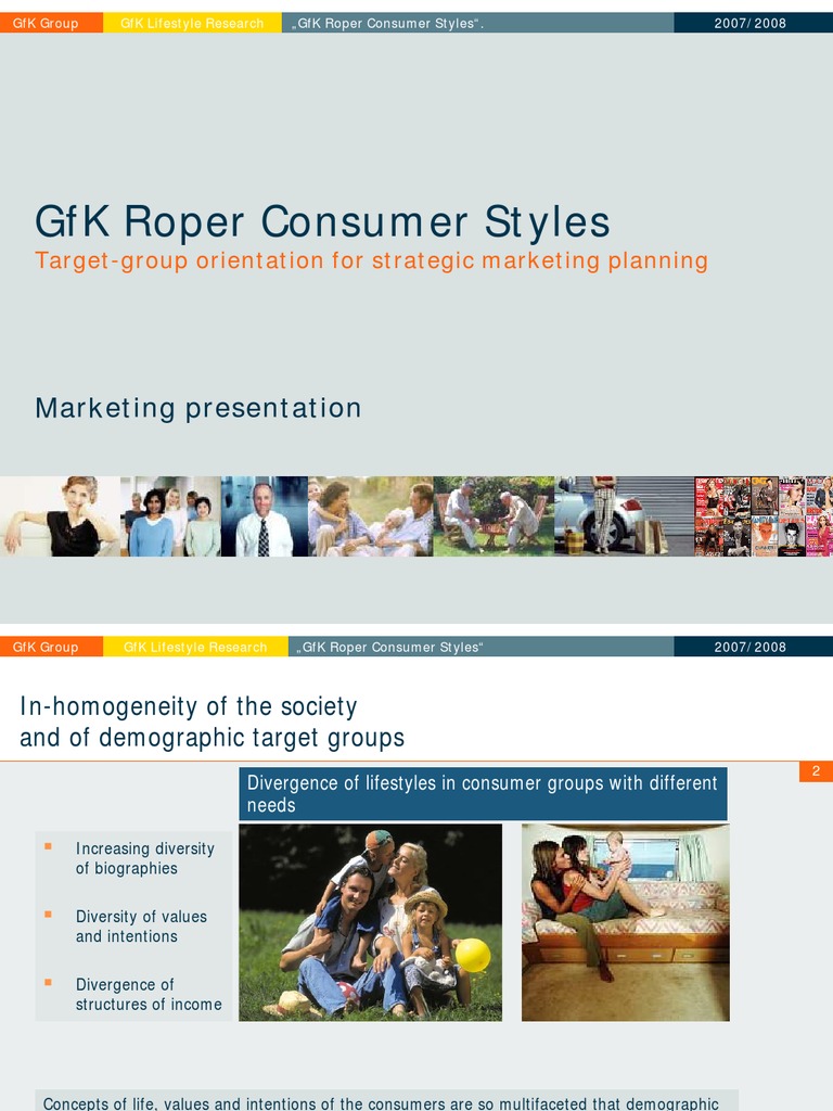 Presentation Roper Consumer Styles Target Audience Consumer Behaviour