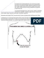 SALUD - Medicina Tradicional China - Chikung Médico - LIMPIANDO EL HÍGADO PDF