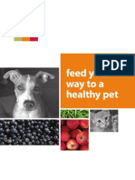 Feed Your Way To A Healthy Pet