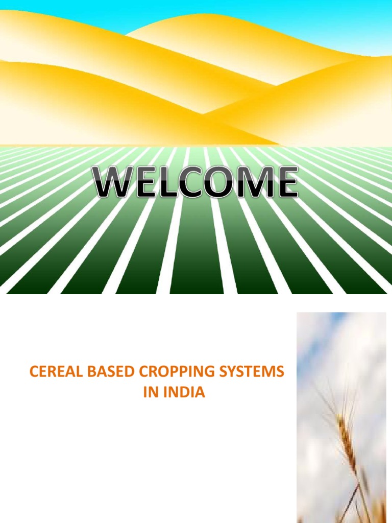 Cereal Based Cropping System in India Rice Cereals Free 30day