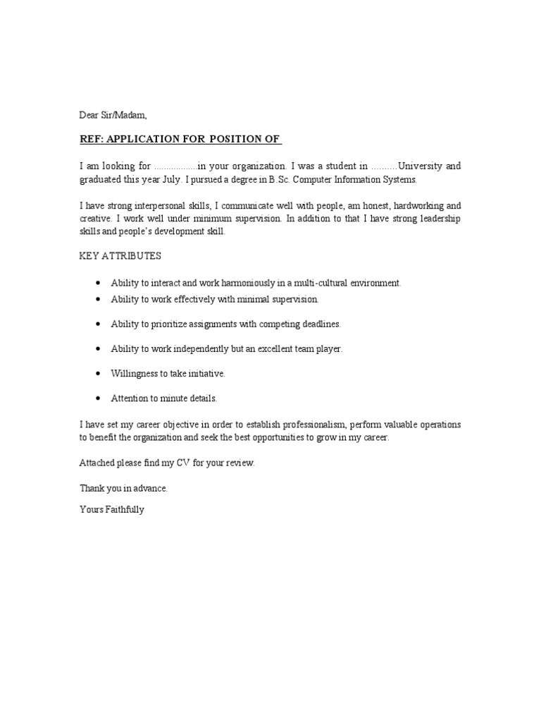 Job Application for Computer Systems Graduate | PDF