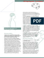 Neurociência_01SistemaNervoso