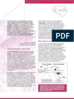 Neurociência - 03 Mensageiros Químicos