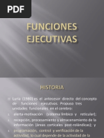 FUNCIONES EJECUTIVAS  2013