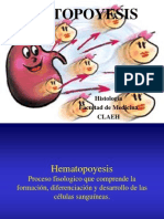 hematopoyesis 2013