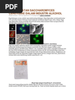 Download Pemanfaatan Saccharomyces Cerevisiae Dalam Industri by Lela Novi Mudiraharti SN149434570 doc pdf