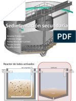 Sedimentador secundario (1)