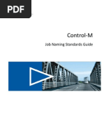 CONTROLl-M Job Naming Standards Guide