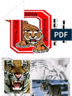 Project Tiger