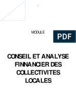 Conseil Et Analyse Finnancier Des Collectivites Locales