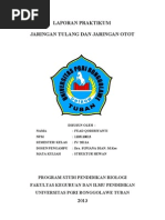 Download Laporan Praktikum Jaringan Otot Dan Tulang by Riya Shingwa SN149482522 doc pdf