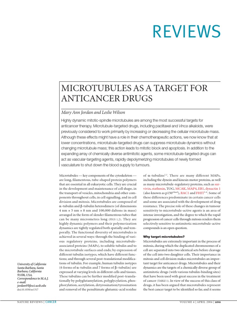 Examining ruthenium anticancer drugs biology essay 05 picture