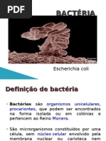 Download Ecoli Power Point by tania faria  SN14949935 doc pdf