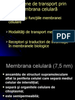 c 4 Transport Membra Na