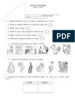 Evaluare Forme Relief