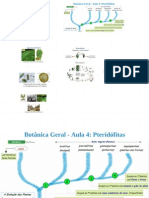 Botânica Geral - Aula 4 - Pteridófitas