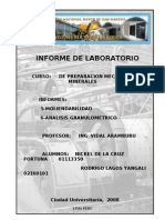 Prepa-lab Informe 5-6 (Imprimir) 2008