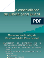 Teoría Ley Penal Juvenil