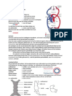 Embryologie Samenvatting HC 6-8