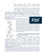 Glosario de Terminos (LISTO)FINAL