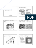 Eritropo PDF