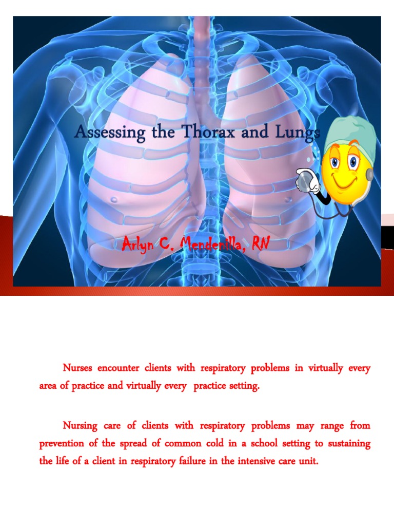 Thorax and Lung Assessment Guide | PDF | Thorax | Vertebral Column