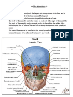 Anatomy of the Head & Neck 3 ( Mandible )
