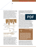 Neurociência_05TatoEDor