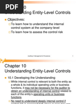 Audit Ii Chapt 10 Understanding Entiry Level Control - 