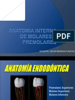 Anatomia Dental