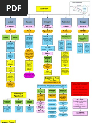 Ferguson - Business Associations Flowcharts Spring 2009