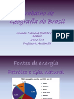 Trabalho de Geografia Do Brasil - Marcella