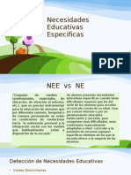 Necesidades Educativas Especificas