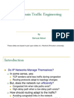 Intra Domain Traffic Engineering