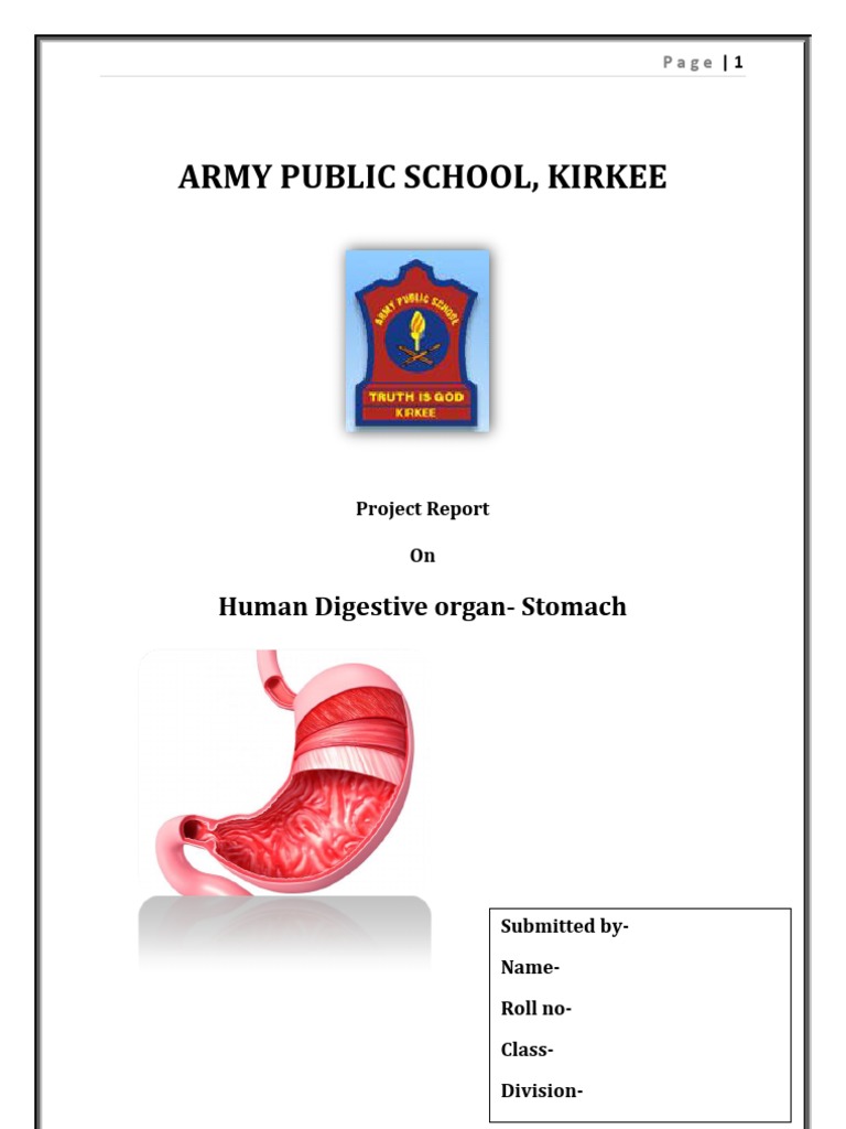 army-public-school-kirkee-human-digestive-organ-stomach-pdf