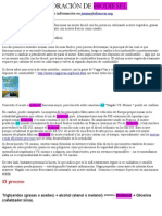 Elaboracion de Biodiesel