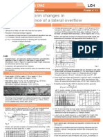 Bed Form Changes in Presence of A Lateral Overflow: Burkhard Rosier Poster N° 11