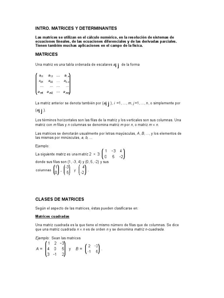 Matrices y Deter Min Antes | PDF | Determinante | Matriz (Matemáticas)