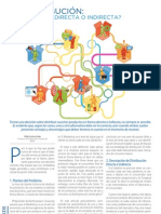 Distribución directa vs indirecta