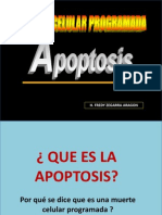 Apoptosis Diapositivas 2011