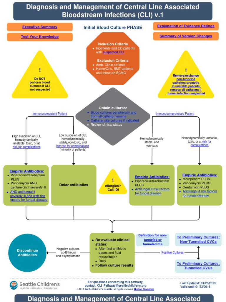 Central Line Infection Management Guide | PDF | Staphylococcus Aureus ...