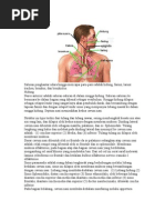 Download Anatomi pernafasan by aroel26 SN14979138 doc pdf