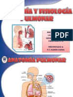 Anatomia y Fisiologia Pulmonar